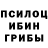Псилоцибиновые грибы Cubensis VolfNo