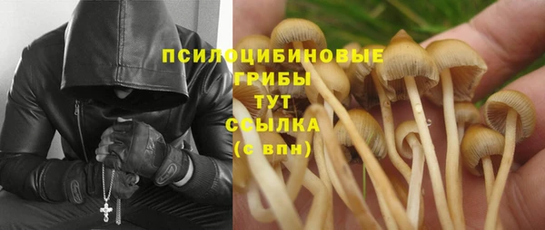 крисы Арсеньев
