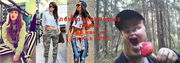 дмт Армянск