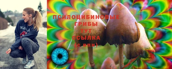 а пвп мука Аркадак